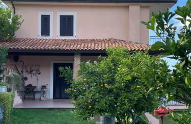 Pink House - Foto 25