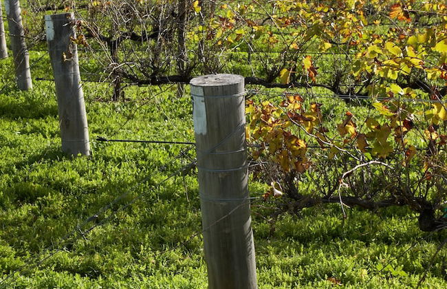 Brockman Park Estate - Foto 30