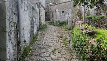 George Traditional Chalet - Foto 5