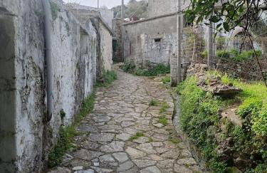 George Traditional Chalet - Foto 5