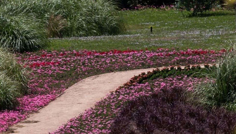 Day Trip to São Francisco de Paula