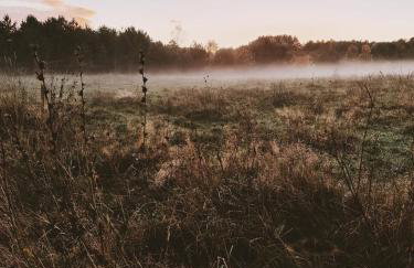 Za Lasem Nad Wodą - Foto 18