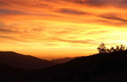 Casa Violeta - Foto 8