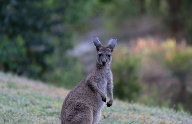 Noble River Estate - Photo 59