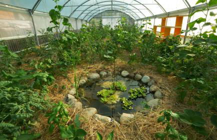 Sasseta Alta - Foto 52