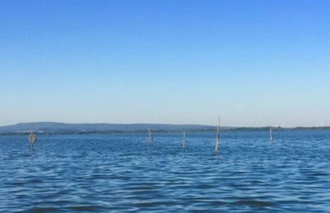 Apartment in Neustadt am Rubenberge - Photo 16