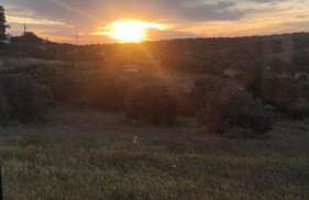 Nova Quinta Moderna TORRAMO em Oliveiras, Campo de Laranjas, na Nacional 2, Alentejo 13750 m2 - Foto 30