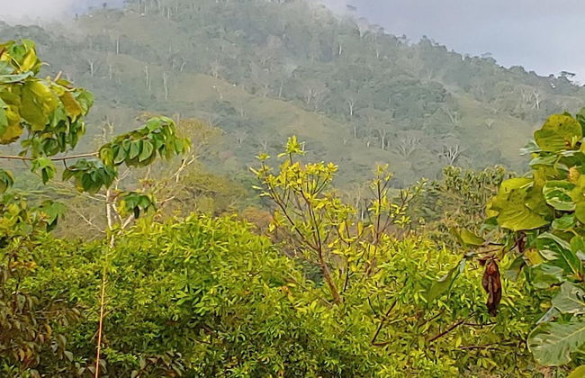 Jaco-carara 3 Bdrm Surrounded by Rainforest With Private Pool - Foto 38