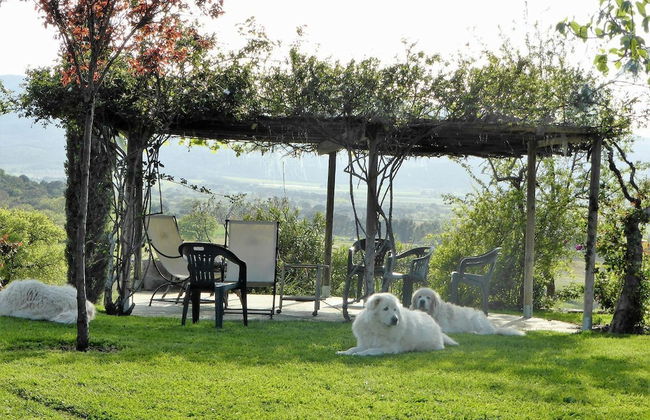 Podere n° 8 in Maremma - Foto 61