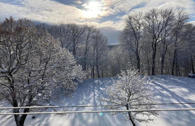 Gorgeous Holiday Home in Altenfeld Thuringia - Foto 71