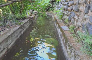 Gîte 3 "le Canal de Baza" aux Magnolias - Foto 28