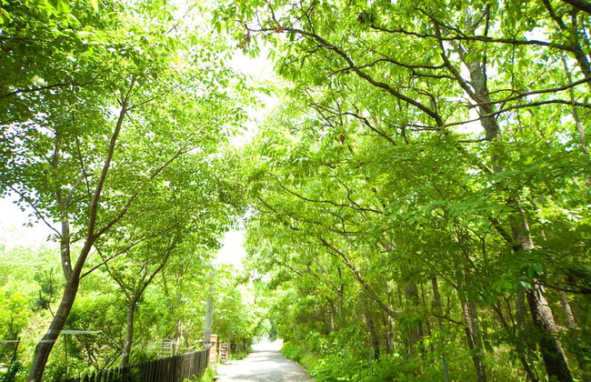 Yufuin Tsukahara Kogen Sanso Donguri - Foto 67