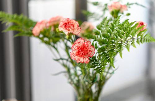 Open Air Historic Penthouse Vegueta - Foto 74