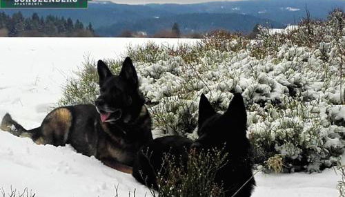 Schulenberg-Apartment 2,3 - Foto 4