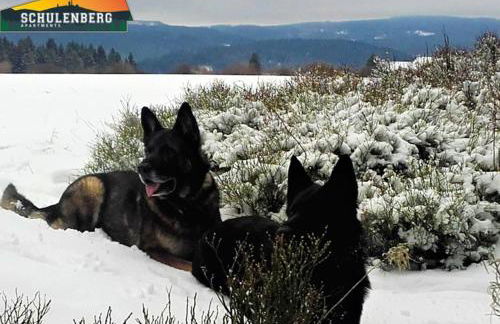 Schulenberg-Apartment 2,3 - Foto 4