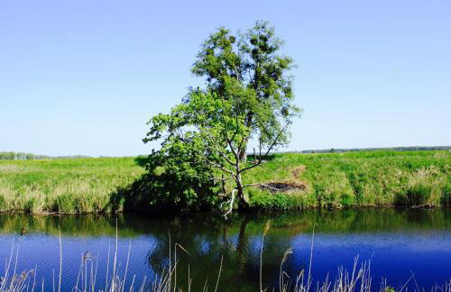 Apartamenty i Domki Osińscy - Foto 79