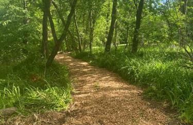 Murphys Law Inn 2 - Foto 15