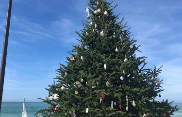 Sarasota -Walk to Siesta Key Beach - Foto 7