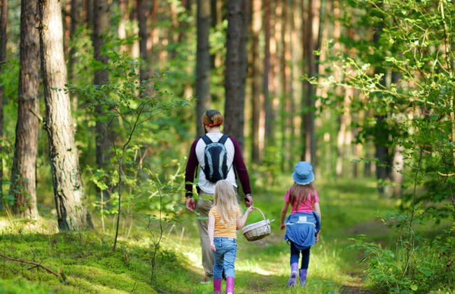 Chalets am Diemelsee in Heringhausen - Photo 28