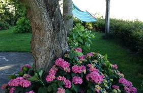 Villa La Moraiola - Foto 31