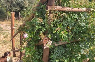 Il Poggetto di Barbara - Casa Bianca - Foto 33