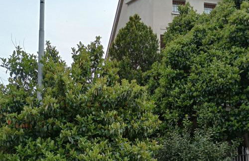 Mare e Monti - Foto 16