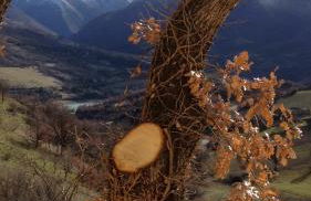 Casavacanze Ciaspole E Uva - Foto 50