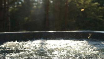 Leśny Duet - Foto 3