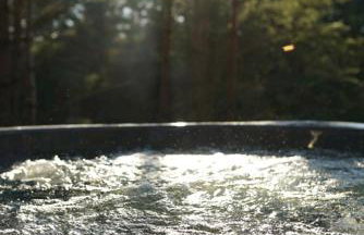 Leśny Duet - Foto 3