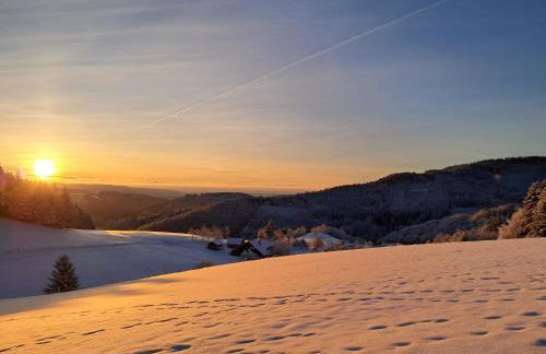 Ferienwohnung auf dem Bückle - Foto 18