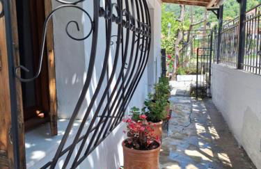 Θέα στο βουνό, mountain view - Foto 15