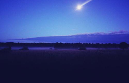 Pod Modrzewiem - Foto 39