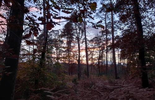 Gîte les petites bruyères - Foto 2