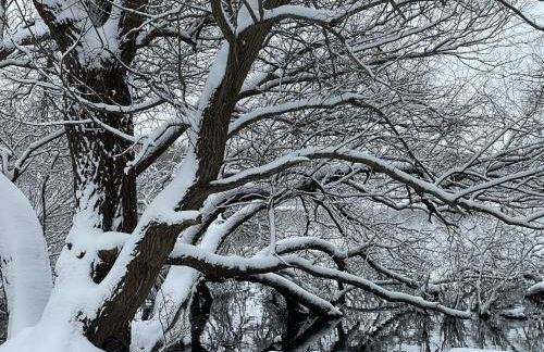 Lakeside Comfort with Balcony - Foto 70
