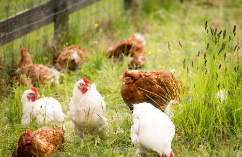 The High Croft - Foto 28