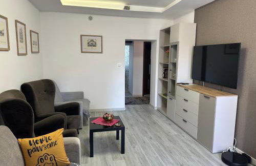 Centrum Apartment Lipowa 12 - Photo 41