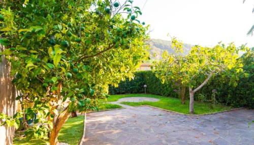 Appartamenti La Baia By Elba Holidays - Foto 5