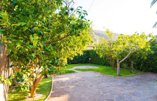 Appartamenti La Baia By Elba Holidays - Foto 5