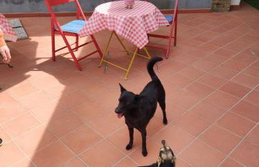 Casa Fasano Amalfi Coast - Foto 27