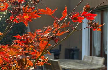 Villa with garden 3 BR and near Milan Rho Fiera - Foto 8