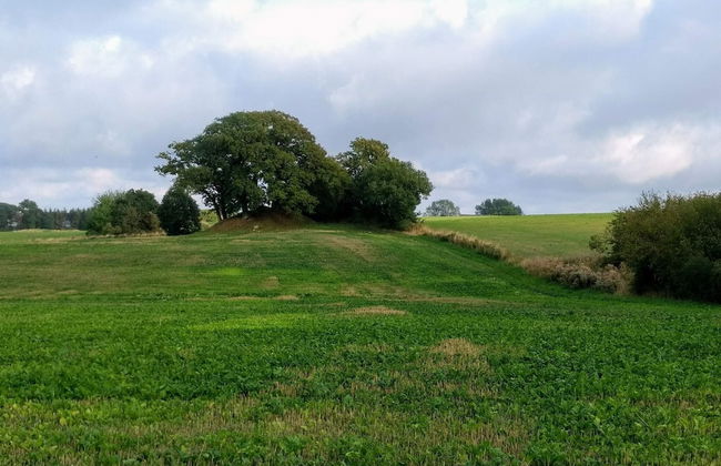 Seaside Idyll in Svaneke - By Traum Ferienwohnungen - Foto 12