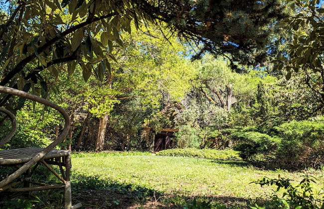 BONFARTO LOCATIONS - Foto 67