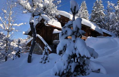 Meribel Altitude1600 chalet 6 personnes en pleine nature au milieu des pistes - Foto 1