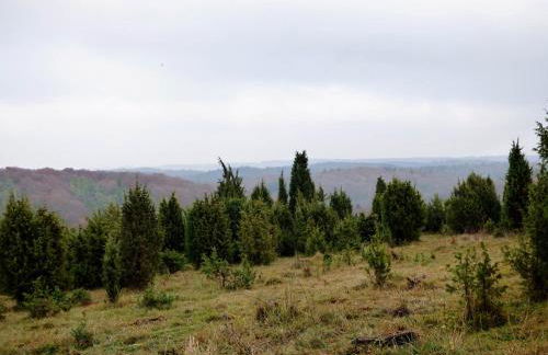 Relaxen am Nationalpark Eifel - Foto 54