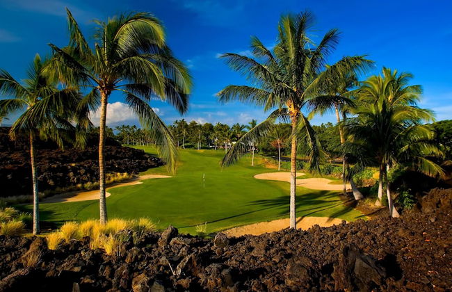Colony Villas at Waikoloa Beach Resort 204 - Photo 29