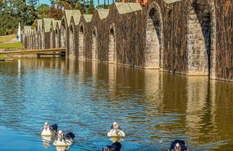 Rosa Edificio Jardim dos Lagos - Foto 7