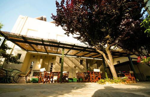 Thalassoperasma - Foto 8