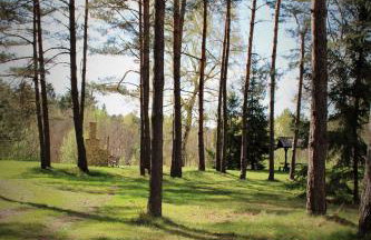 PIZUNY Dom pod dębem z balią na wyłączność - Foto 61