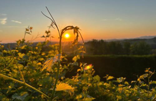 Tenuta Paradiso del Monferrato - Foto 6