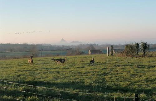 Vue Mt-St-Michel, Élégance, calme et baby-foot Bonzini - Foto 36